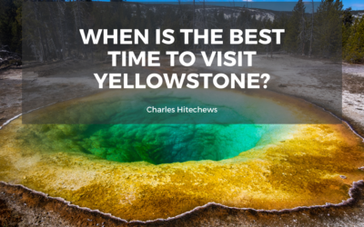 When is the Best Time to Visit Yellowstone?