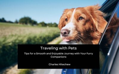 Traveling with Pets: Tips for a Smooth and Enjoyable Journey with Your Furry Companions